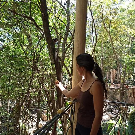 Casa Da Mata Descanso E Sossego Na Natureza Ibicoara Extérieur photo