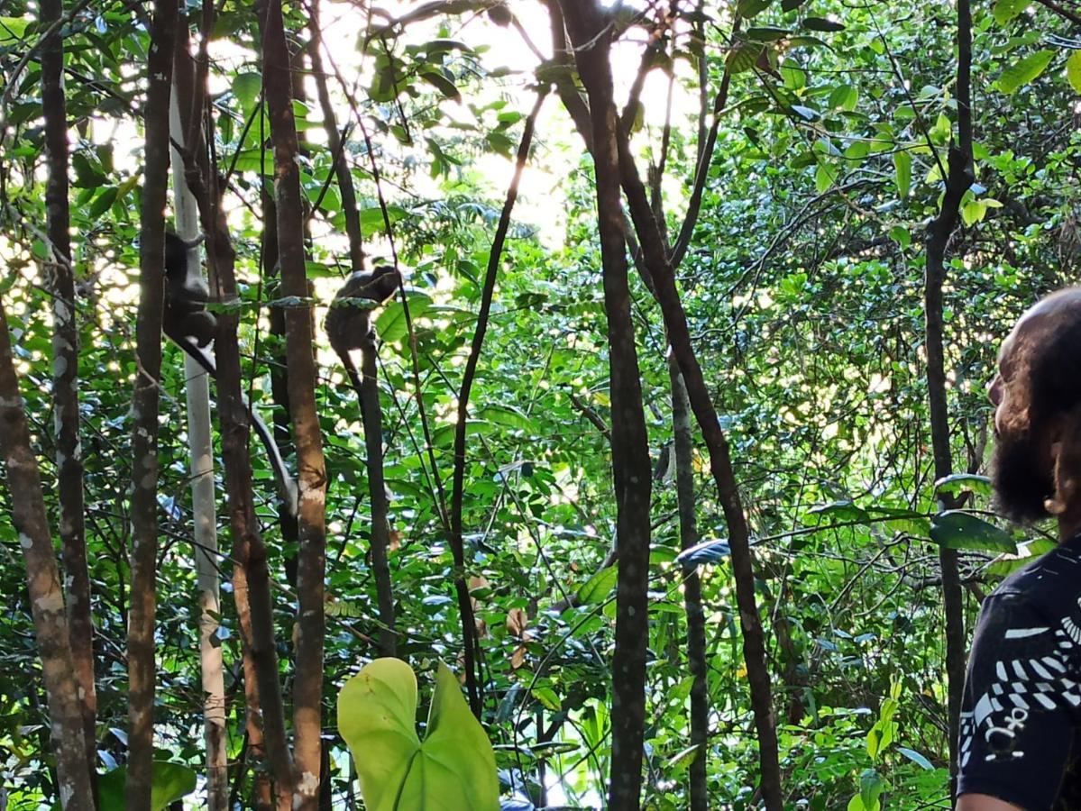 Casa Da Mata Descanso E Sossego Na Natureza Ibicoara Extérieur photo