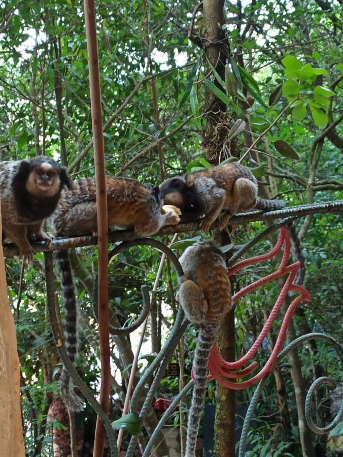Casa Da Mata Descanso E Sossego Na Natureza Ibicoara Extérieur photo