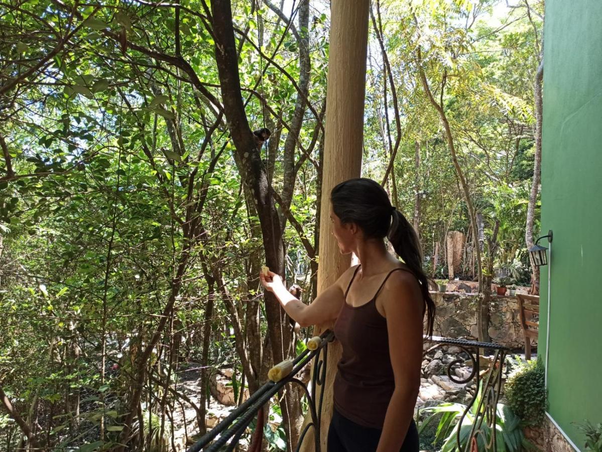 Casa Da Mata Descanso E Sossego Na Natureza Ibicoara Extérieur photo